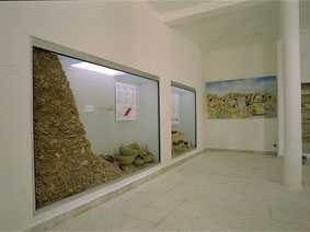 Vitrines 16, 17, 18