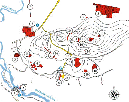 Site Map